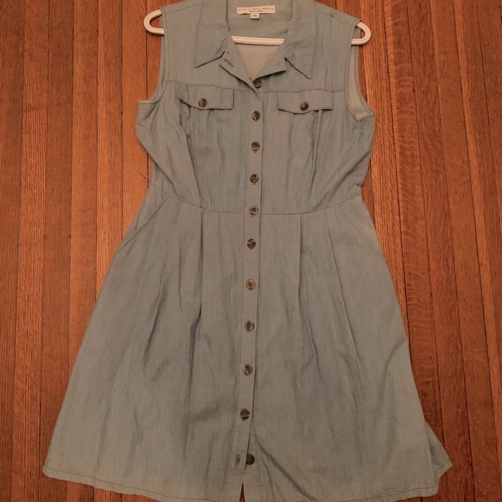 Birds of North America Raven Dress